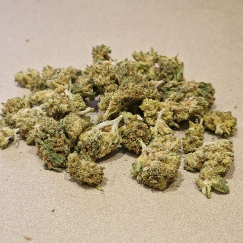 Small buds de Sour Lifter CBD hybride, fleurs de petit calibre vendues 1,50 € le gramme chez LV Nature à Roanne
