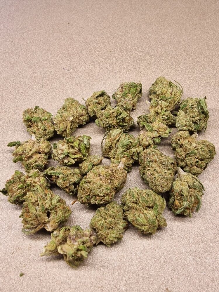 Small Gas Gas CBD Indoor 2 €/gr