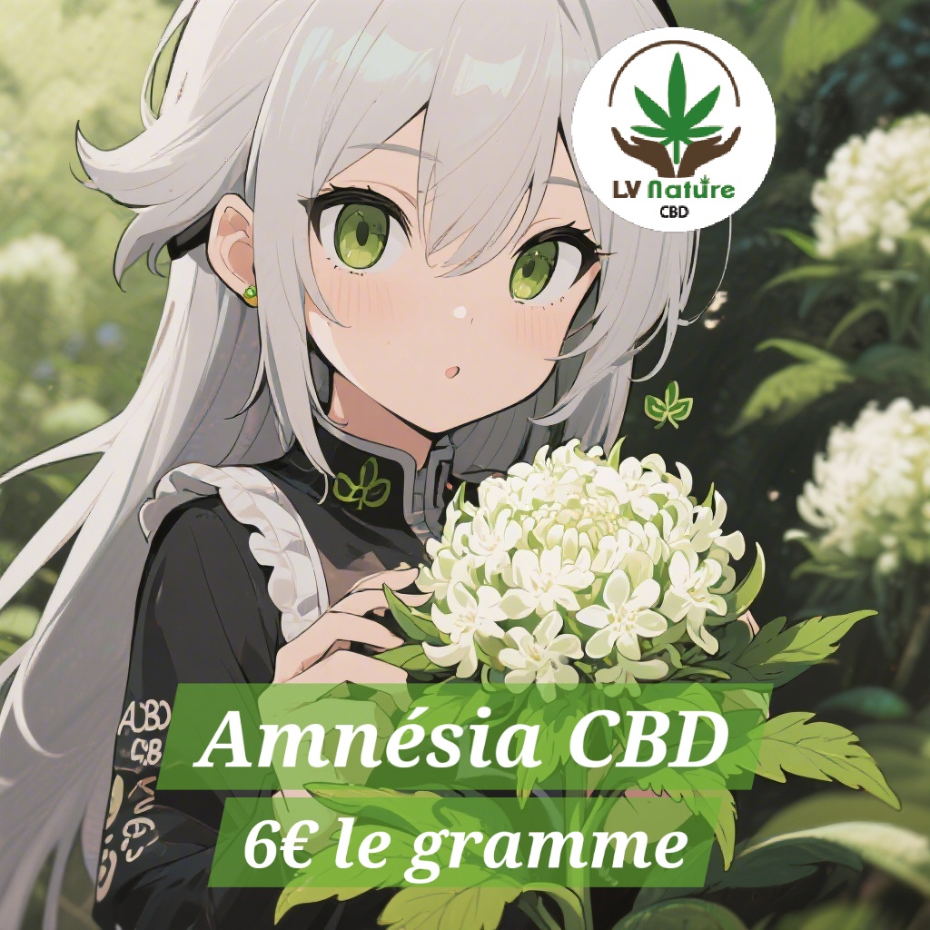 Amnésia CBD Indoor 6 €/gr