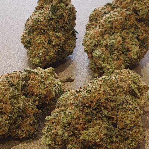 ORANGE BUD CBD SHOP ROANNE LV NATURE