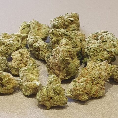 Medium Amnésia CBD Indoor 4 €/gr