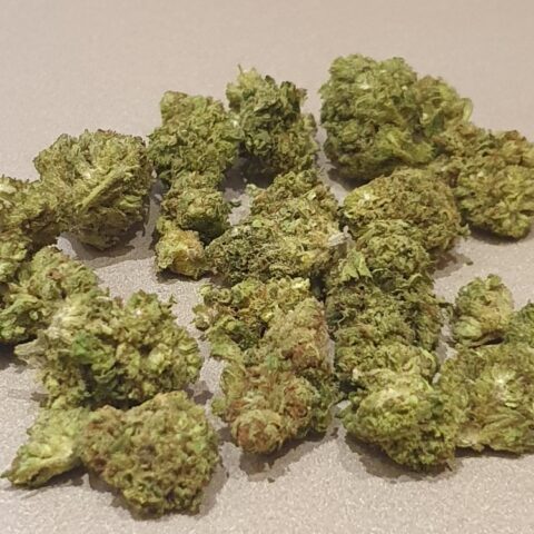Small Critical CBD Hybride 2 €/gr
