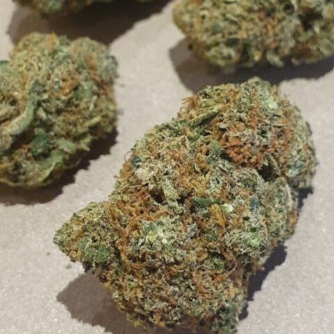 Zushi CBD Indoor USA 6 €/gr