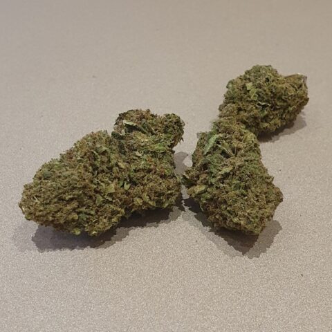 Amnésia Core Cut CBD Hybride USA 4 €/gr