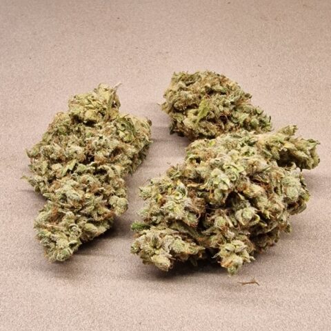 Gushers CBD Indoor 6 €/gr