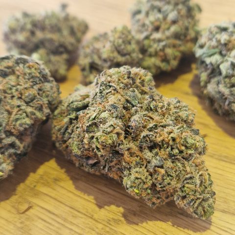 Grape Soda CBD Indoor Elite US - fleur gourmande aux notes de raisin - LV Nature Roanne