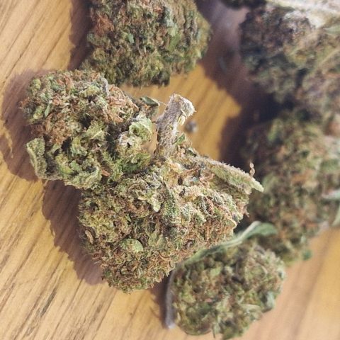 Medium Strawberry CBD Glasshouse - fleur sucrée à la fraise - LV Nature Roanne