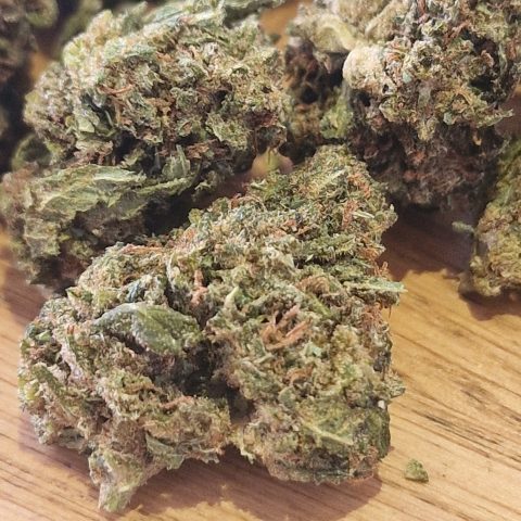 Lemon Tonic CBD Glasshouse petit calibre - fleur citronnée - LV Nature Roanne