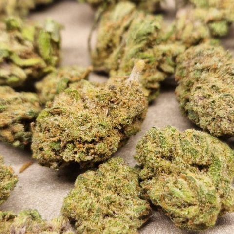 Small buds NLX CBD indoor - LV Nature Roanne