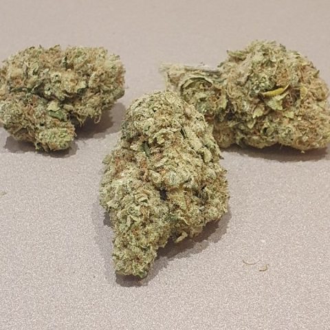 Fleur CBD Amnesia JSH indoor Suisse, 18 % CBD – LV Nature CBD Roanne