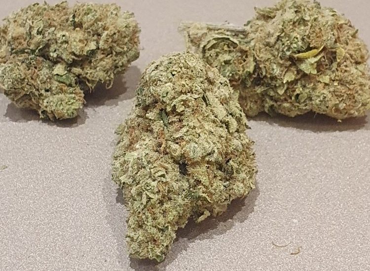Fleur CBD Amnesia JSH indoor Suisse, 18 % CBD – LV Nature CBD Roanne