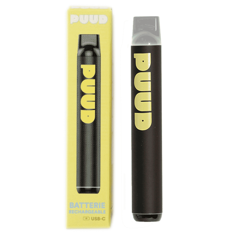 Batterie PUUD rechargeable en USB-C et son étui