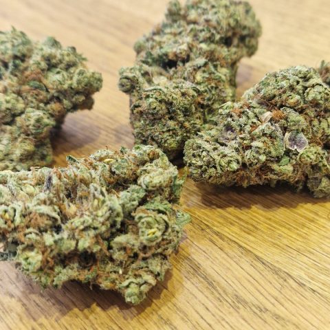 Fleurs Dr Grinspoon CBD indoor Elite US, 17 % de CBD, chez LV Nature à Roanne