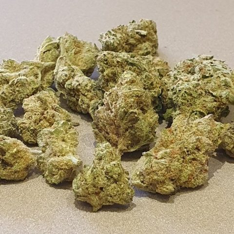 Small buds CBD Gushers indoor Suisse, 15 % CBD – LV Nature CBD Roanne