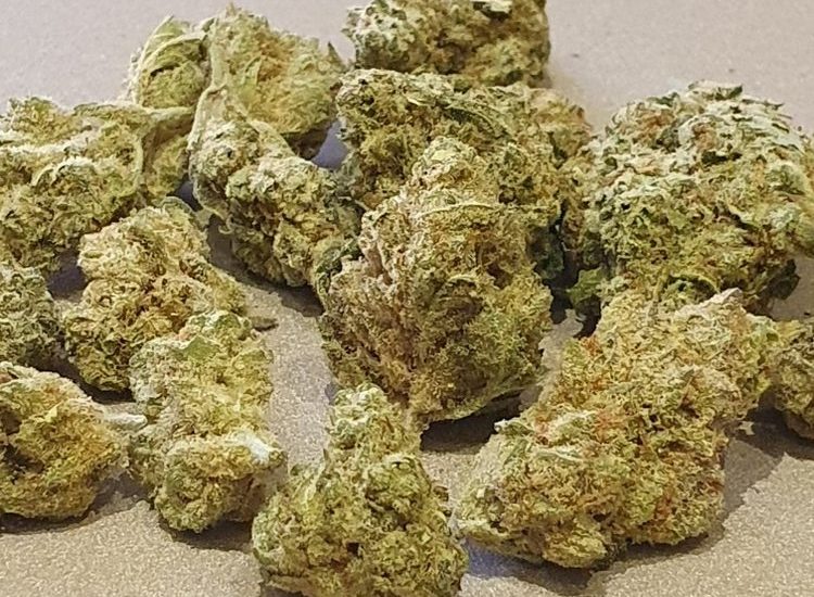 Small buds CBD Gushers indoor Suisse, 15 % CBD – LV Nature CBD Roanne