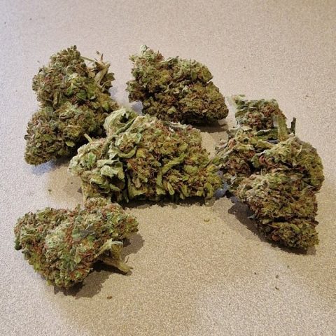 Fleur CBD Super Skunk glasshouse, 12 % CBD – LV Nature CBD Roanne